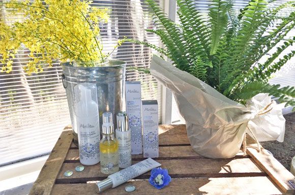 Drinkware, Glass, Terrestrial plant, Flowerpot, Transparent material, Vase, Perennial plant, 