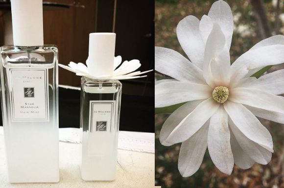 さいサイズ Jo Malone - jomalone starmagnolia 限定品♡の通販 by