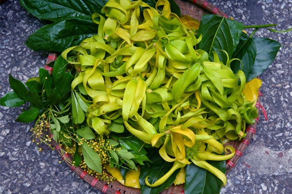 Flower, Plant, Leaf vegetable, Food, Vegetarian food, Vegetable, Choy sum, Ingredient, Flowering plant, Cuisine, 