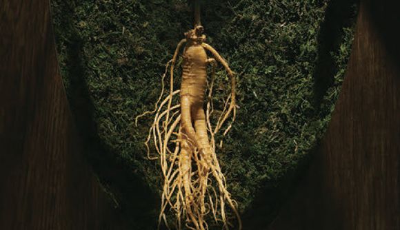 Wood, Trunk, Root, Plant stem, Environmental art, Sculpture, 