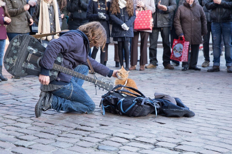 Leg, Human, Trousers, Jeans, Jacket, Road, Musical instrument, Street performance, Street, Musician, 