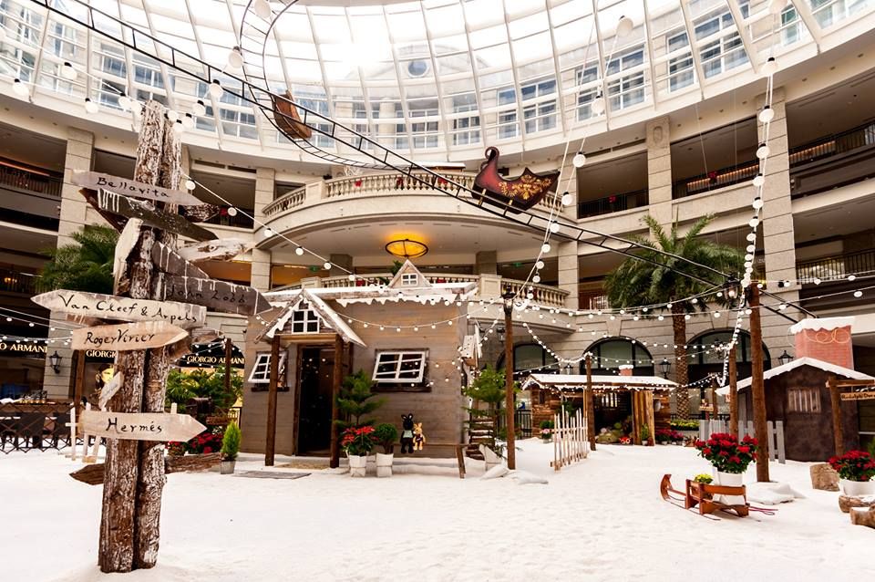 Commercial building, Retail, Flowerpot, Mixed-use, Shopping mall, Snow, Daylighting, Lobby, Column, Hotel, 