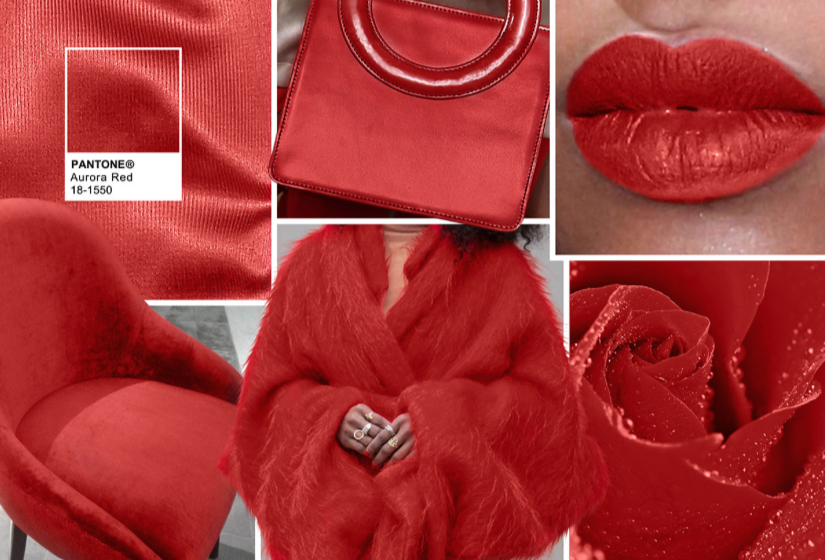 Red, Textile, Carmine, Love, Wallet, Coquelicot, Rose family, Leather, Rose, Rose order, 
