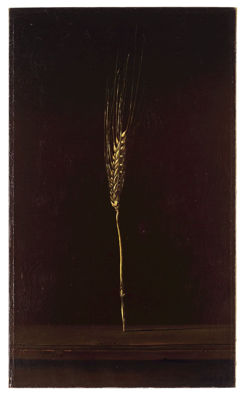 Photograph, Twig, Grass family, Snapshot, Rectangle, Still life photography, Plant stem, Wheat, Stock photography, Still life, 