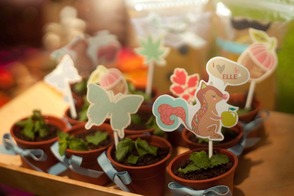 Flowerpot, Interior design, Terrestrial plant, Houseplant, Toy, Fictional character, Annual plant, Herb, Pottery, Livestock, 