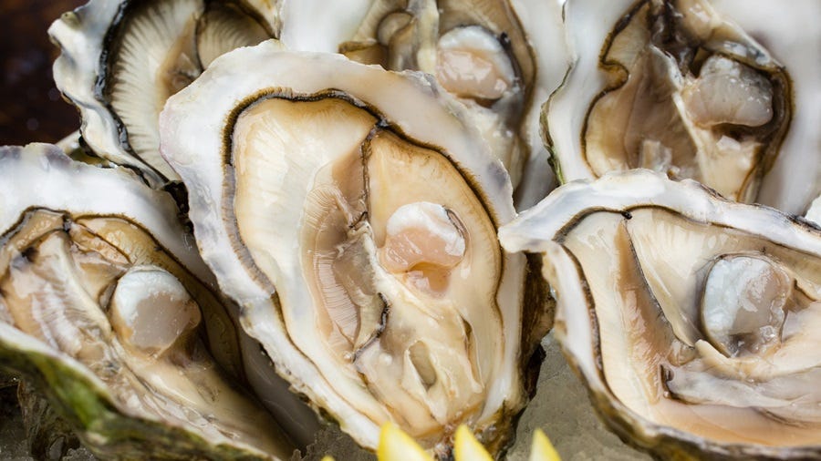Yellow, White, Ingredient, Natural material, Grey, Close-up, Peach, Bivalve, Shell, Molluscs, 