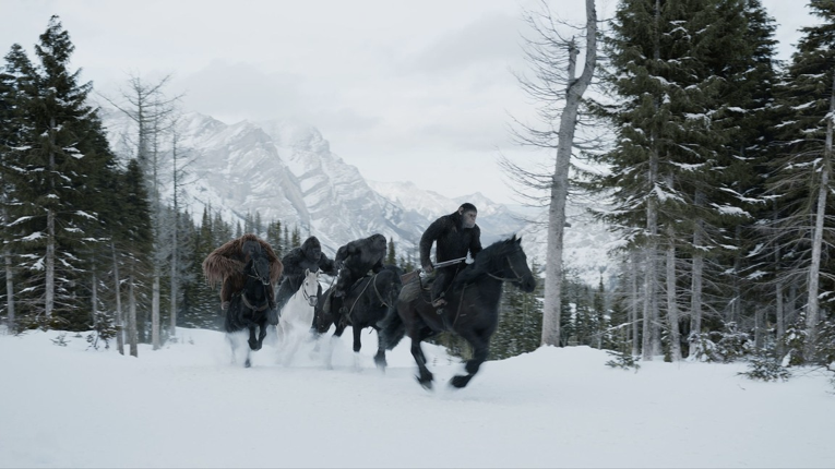 Snow, Horse, Winter, Recreation, Pack animal, Tree, Freezing, Winter storm, Trail riding, Mane, 