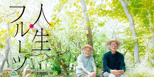 People in nature, Photograph, People, Botany, Spring, Child, Tree, Plant, Family, Photography, People in nature, Photograph, People, Botany, Spring, Child, Tree, Plant, Family, Photography,