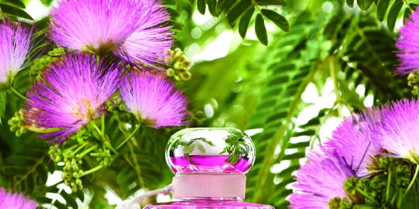 Perfume, Petal, Purple, Magenta, Flower, Violet, Pink, Fluid, Liquid, Lavender, 