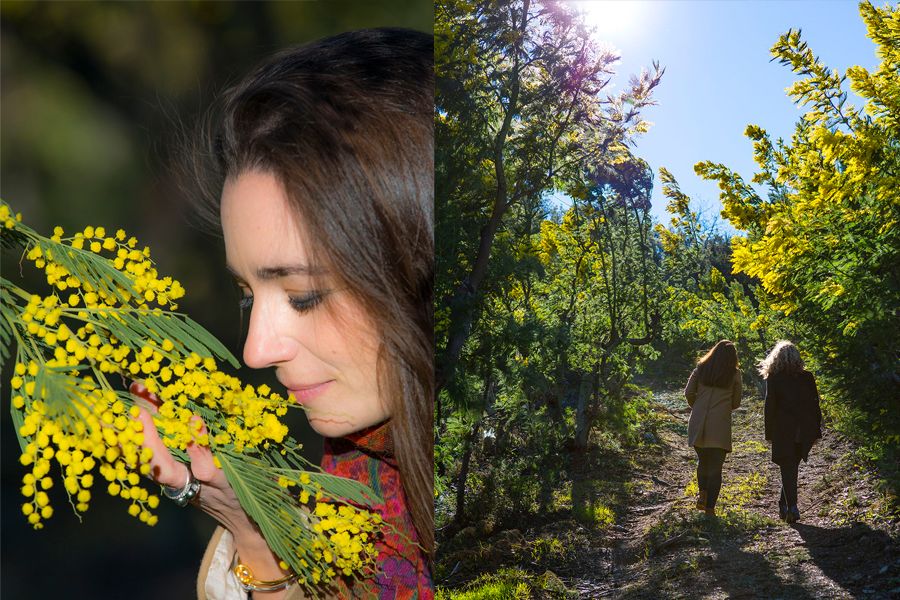 Human, Yellow, People in nature, Petal, Spring, Wildflower, Daisy family, Asterales, Pollen, Portrait photography, 