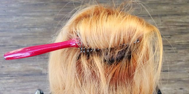 Hairstyle, Pink, Hair accessory, Liver, Fur, Blond, Brush, Fawn, Hair coloring, Brown hair, 