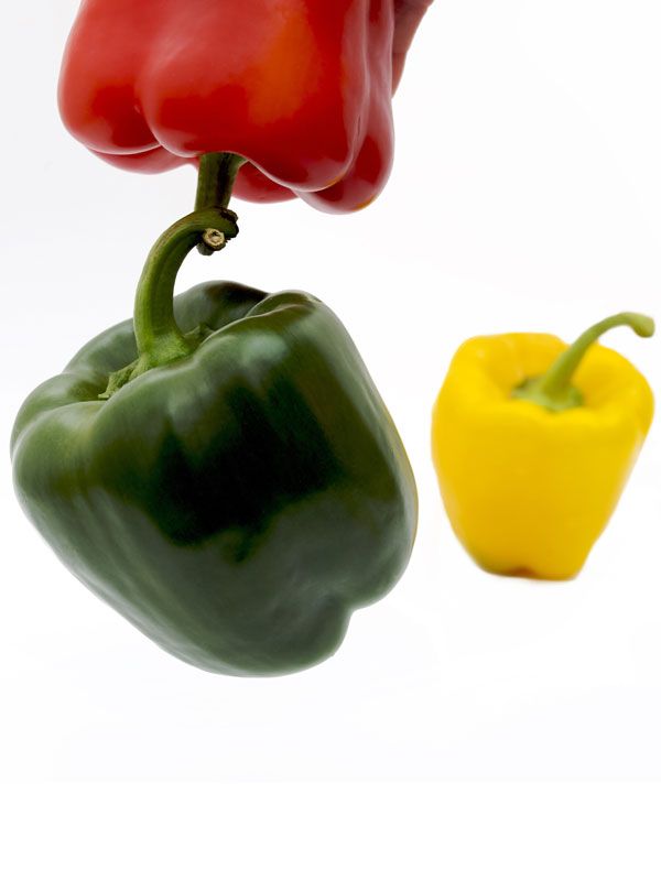 Bell pepper, Yellow, Food, Ingredient, Produce, Bell peppers and chili peppers, Vegetable, Natural foods, Whole food, Colorfulness, 