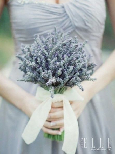 Blue, Flower, Lavender, Purple, Flowering plant, Violet, Annual plant, Artificial flower, Cut flowers, Gesture, 