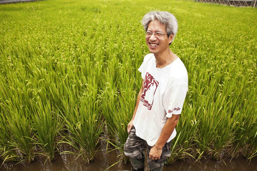 Smile, Happy, People in nature, Field, Wetland, Agriculture, Farm, Grass family, Flowering plant, Paddy field, 