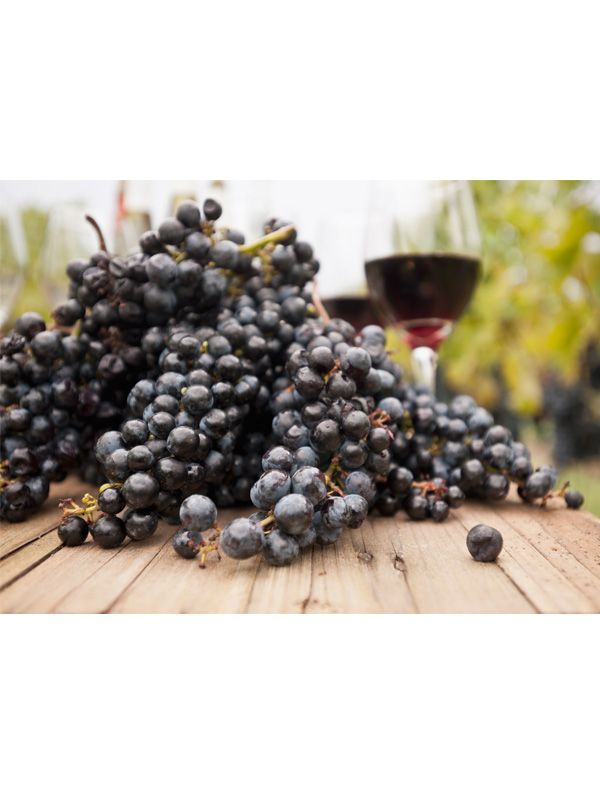 Food, Glass, Produce, Drink, Ingredient, Fruit, Stemware, Wine glass, Natural foods, Berry, 