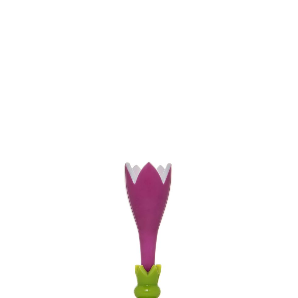 Purple, Tulip, Magenta, Trophy, Plant, Glass, Flower, 