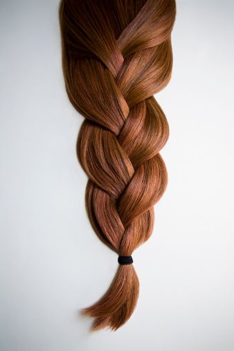 Brown, Hairstyle, Style, Tan, Liver, Fawn, Blond, Close-up, Braid, Hair accessory, 