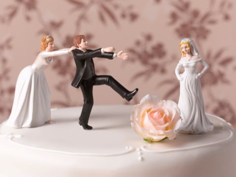Figurine, Bride, Marriage, Wedding cake, Wedding ceremony supply, Toy, Cake decorating, Action figure, Dress, Wedding, 