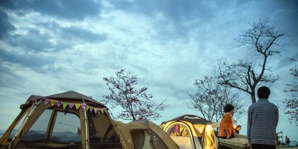 Tent, Public space, Leisure, People in nature, Woody plant, Camping, Tints and shades, Park, Shade, Tarpaulin, 