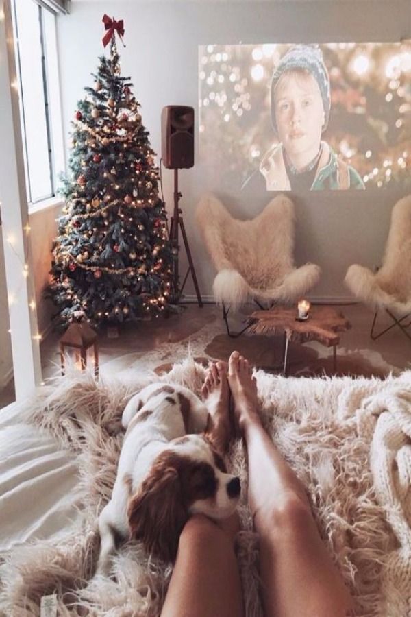 Christmas tree, Christmas, Tree, Christmas decoration, Christmas ornament, Canidae, Companion dog, Sporting Group, Christmas eve, Interior design, 