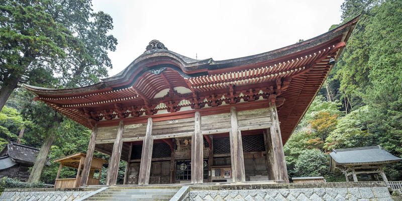 Chinese architecture, Architecture, Stairs, Property, Tree, Japanese architecture, Roof, Botany, Temple, Shrine, 