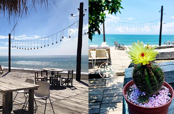 Flowerpot, Coastal and oceanic landforms, Table, Furniture, Outdoor furniture, Ocean, Outdoor table, Beach, Shore, Sea, 