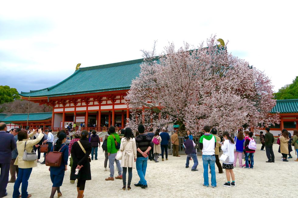 Tourism, Public space, Leisure, Travel, Pedestrian, Spring, Walking, Blossom, Chinese architecture, Tourist attraction, 