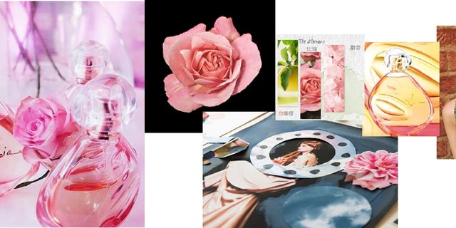 Petal, Flower, Pink, Dishware, Glass, Peach, Flowering plant, Rose family, Rose order, Hybrid tea rose, 