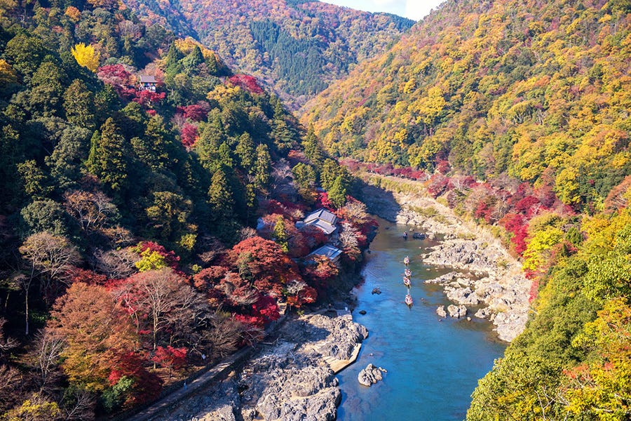 Nature, River, Leaf, Natural landscape, Wilderness, Mountain, Tree, Autumn, Biome, Sky, 