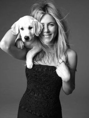 Dog breed, Dog, Mammal, Carnivore, Style, Monochrome photography, Black, Blond, Black-and-white, Long hair, 