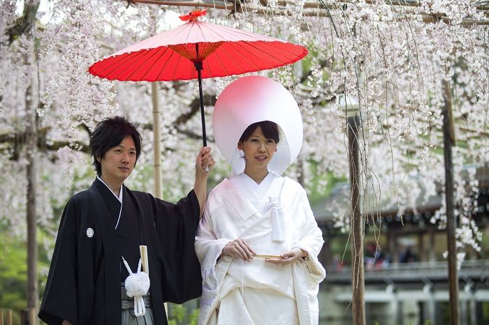 Human body, Temple, Black hair, Tradition, Umbrella, Costume, Spring, Ceremony, Kimono, Bride, 
