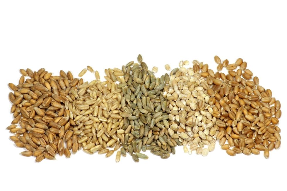 Ingredient, Seed, Food grain, Produce, Natural material, Nuts & seeds, Animal feed, Wheat, Dinkel wheat, Cereal, 