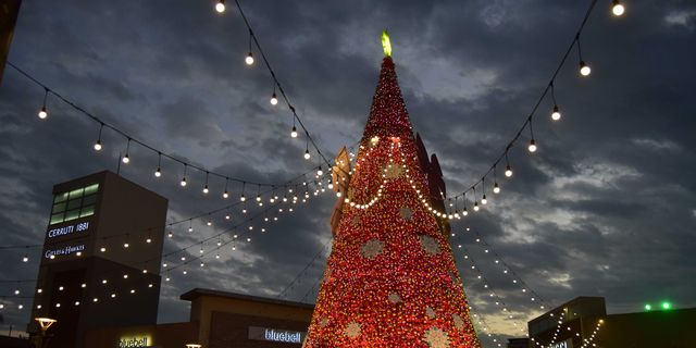 Landmark, Metropolitan area, Christmas decoration, Christmas tree, Tree, Christmas lights, Sky, Lighting, Christmas, Metropolis, 
