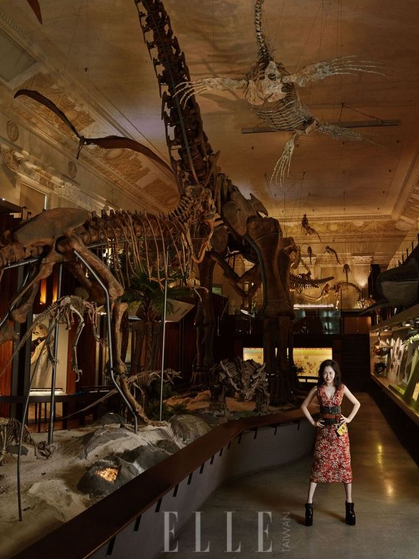Extinction, Skeleton, Bone, Fossil, Dress, Dinosaur, Museum, Boot, Rib, Tourist attraction, 