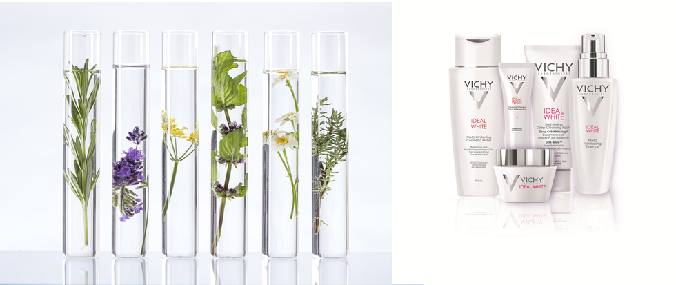 Liquid, Botany, Flowering plant, Plant stem, Lavender, Cosmetics, Skin care, Cylinder, Packaging and labeling, Herb, 