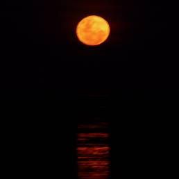 Full moon, Moon, Sky, Light, Moonlight, Astronomical object, Celestial event, Darkness, Orange, Atmospheric phenomenon, 
