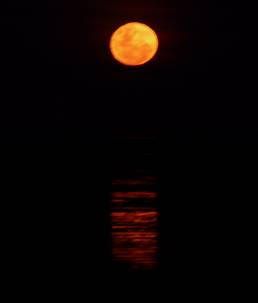 Full moon, Moon, Sky, Light, Moonlight, Astronomical object, Celestial event, Darkness, Orange, Atmospheric phenomenon, 
