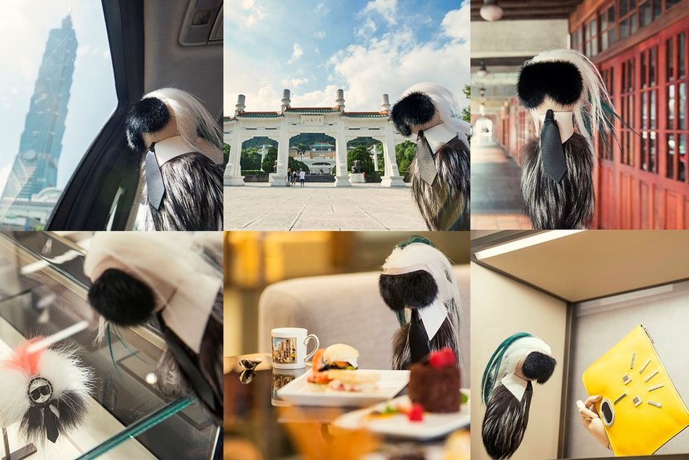 Bird, Black hair, Travel, Collage, Beak, Automotive window part, Feather, Public transport, 