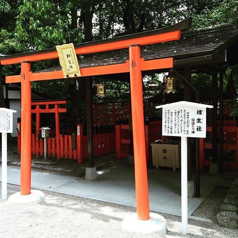 除了清水寺 伏見稻荷 日本京都 在地人私推景點12選 才能真正感受京都的道地之美 除了清水寺 伏見稻荷 日本京都 在地人私推景點12選 才能真正感受京都的道地之美