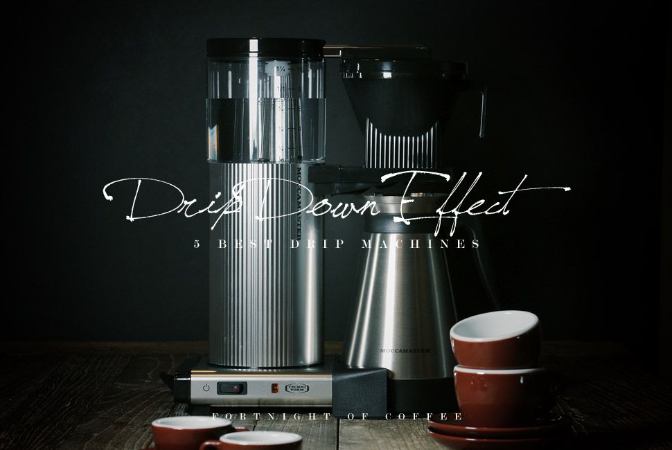 The Best Coffee Gear for Every Type of Java Freak