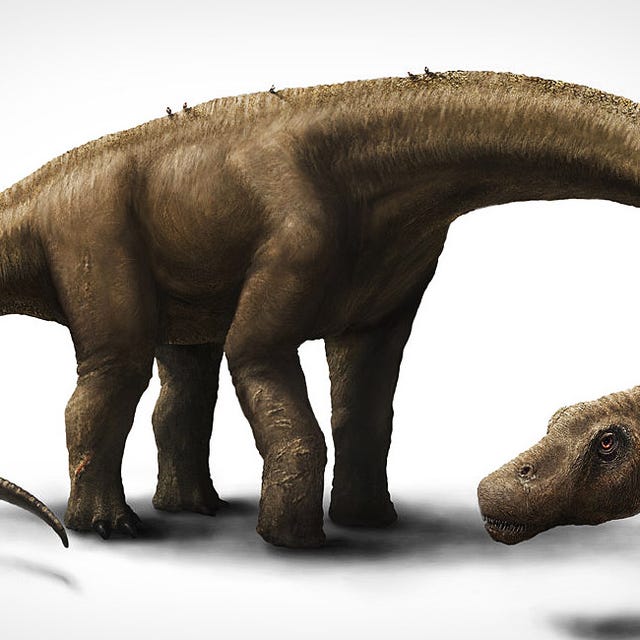 Giant-Dinosaur-Gear-Patrol-Lead-Full Giant-Dinosaur-Gear-Patrol-Lead-Full