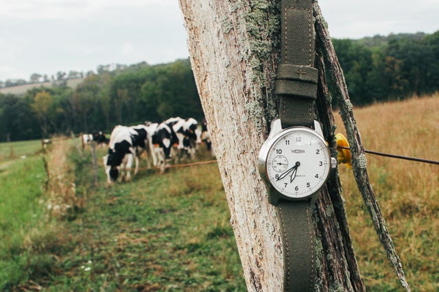 weiss field watch gear patrol ambiance