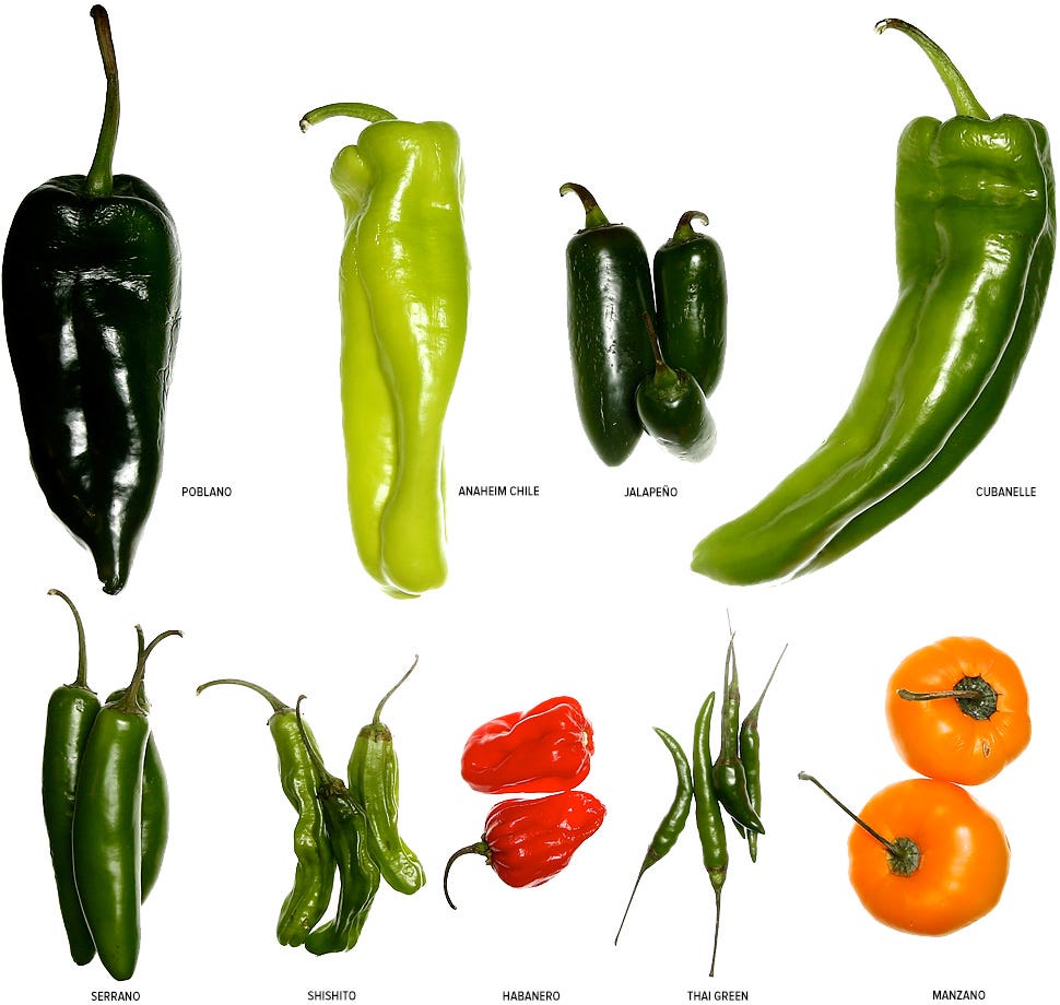 Wilbur Scoville Wasn t A Weirdo Scoville Scale Scoville Scale Peppers 
