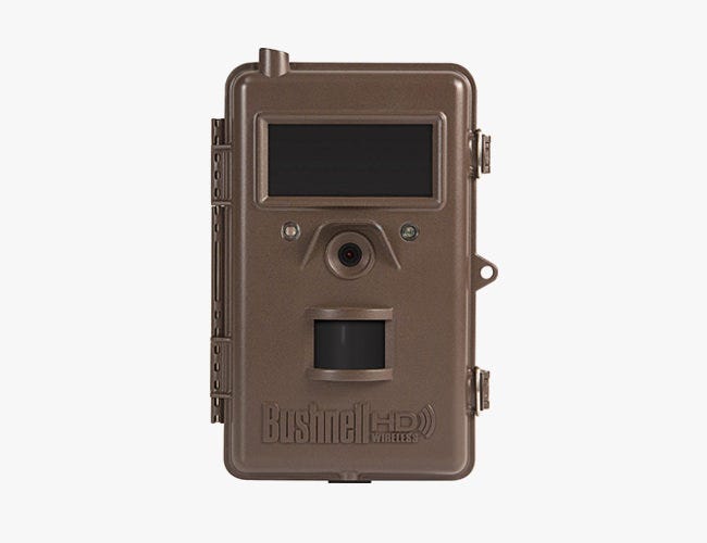 bushnell 8mp trophy cam