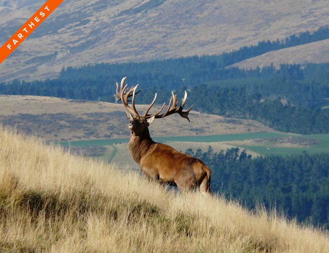 Best Hunting Destinations In The World - Gear Patrol