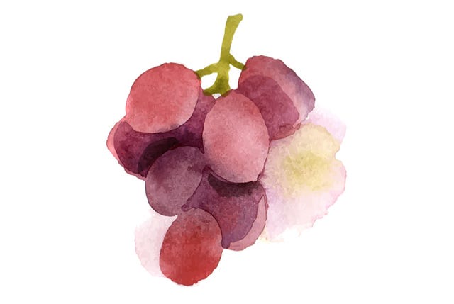 The-Almighty-Grape-Gear-Patrol-Lead-Full-