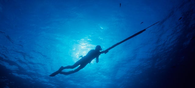 bahama-spear-fishin-gear-patrol-1440