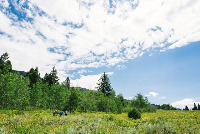 Best-Mountain-Bike-Trails-Wyoming-Gear-Patrol-Lead-Full