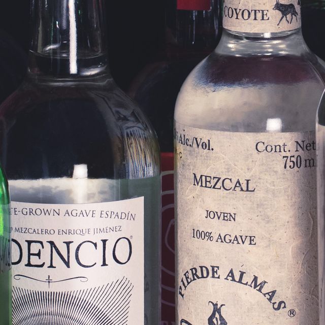 WHAT'S NEW - Mezcal – Page 2 –