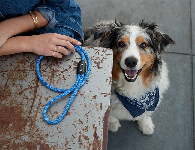 The Atlas Leash™ - the most useful dog lead ever created - Bold Lead Designs